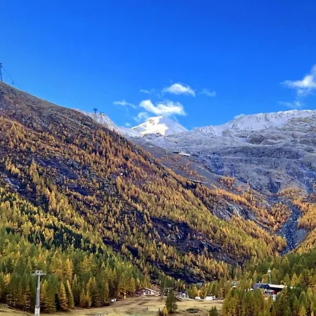 Amsel 1 By Saasfeeholidays Saas-Fee